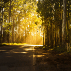 Psychosocial Hazards in the Workplace